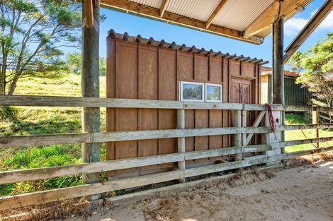 Photo of property in 516 Fordyce Road, South Head, Helensville, 0874