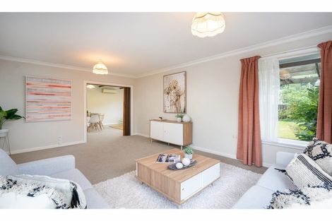 Photo of property in 54 Hillsborough Terrace, Hillsborough, Christchurch, 8022