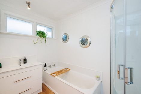 Photo of property in 382 Ruahine Street, Terrace End, Palmerston North, 4410