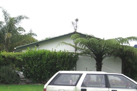 Photo of property in 10 Ti Nana Crescent, Henderson, Auckland, 0610