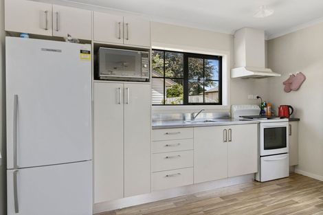 Photo of property in 47c Nixon Street, Hamilton East, Hamilton, 3216