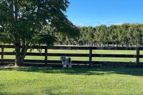 Photo of property in 265 Pencarrow Road, Tamahere, Hamilton, 3283