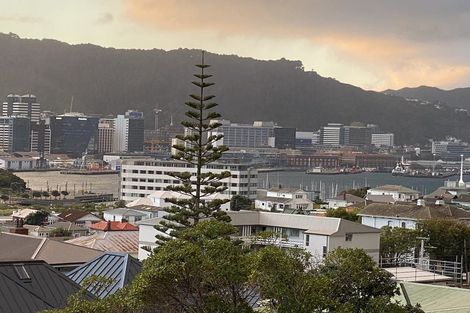 Photo of property in 14 Prince Street, Mount Victoria, Wellington, 6011