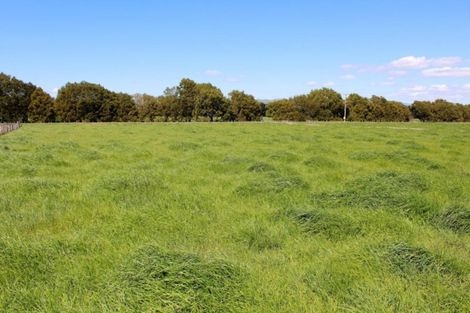 Photo of property in 64 Totaramahonga Road, Dannevirke, 4972