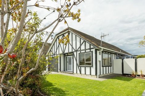 Photo of property in 34 Salisbury Avenue, Tamatea, Napier, 4112