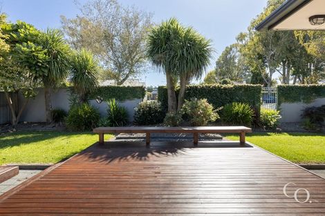 Photo of property in 168 Fraser Street, Tauranga South, Tauranga, 3112