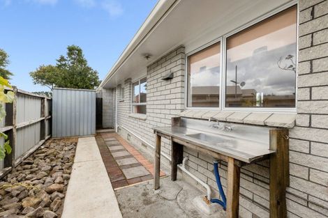 Photo of property in 119b Otumoetai Road, Brookfield, Tauranga, 3110