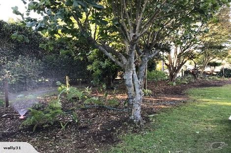 Photo of property in 42 Mcfarlane Street, Oakura, 4314