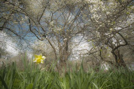 Photo of property in 12 Orchard Lane, Springlands, Blenheim, 7201