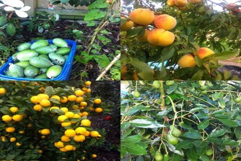 Photo of property in 1a Wright Street, Taupiri, 3721