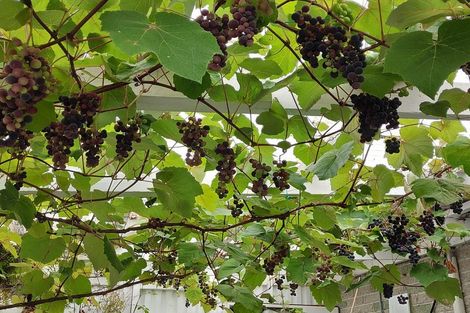 Photo of property in 6 Harbour Terrace, Careys Bay, Port Chalmers, 9023