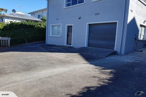 Photo of property in 471 Mount Albert Road, Mount Roskill, Auckland, 1042