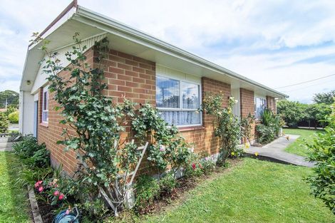 Photo of property in 9 Cambridge Terrace, Masterton, 5810