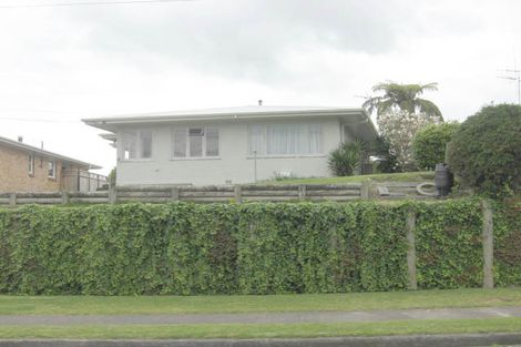 Photo of property in 115 Puniu Road, Te Awamutu, 3800