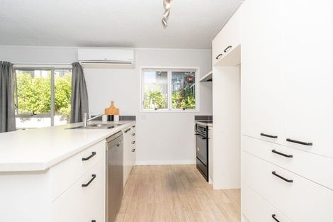 Photo of property in 48b Cook Street, Hamilton East, Hamilton, 3216