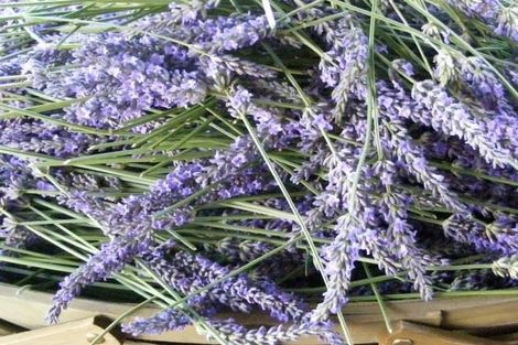 Photo of property in 376 Morgan Road, Matamata, 3472