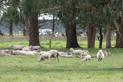 Photo of property in 1148 Rakaia Highway, Dromore, Ashburton, 7772