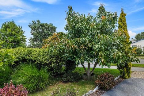 Photo of property in 45 Pohutukawa Parade, Riverhead, 0820