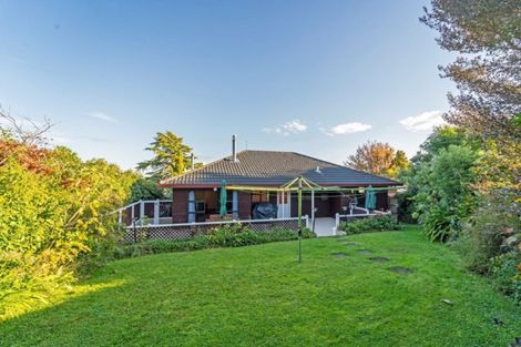 Photo of property in 22 Puriri Crescent, Lansdowne, Masterton, 5810