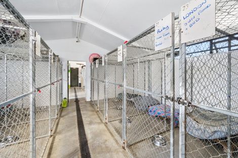 Photo of property in 1981 Omakau Chatto Ck Road, Chatto Creek, Alexandra, 9393