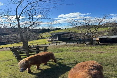 Photo of property in 56 Thorn Road, Lower Kaimai, Tauranga, 3171