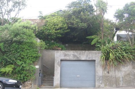 Photo of property in 41a Washington Avenue, Brooklyn, Wellington, 6021