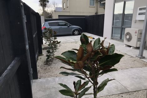 Photo of property in 48 Winchester Street, Merivale, Christchurch, 8014