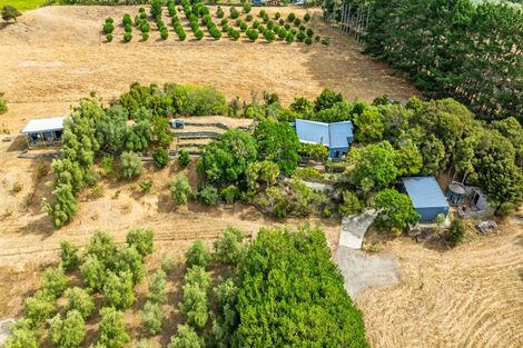 Photo of property in 78 Donnelly Road, Foxton, 4891