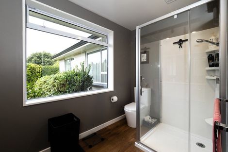 Photo of property in 38 Melcombe Street, Tinwald, Ashburton, 7700