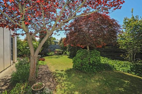 Photo of property in 609 Kennedy Road, Raureka, Hastings, 4120