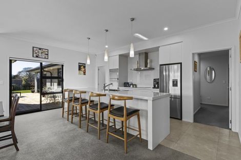 Photo of property in 41 Catalyst Avenue, Leamington, Cambridge, 3432