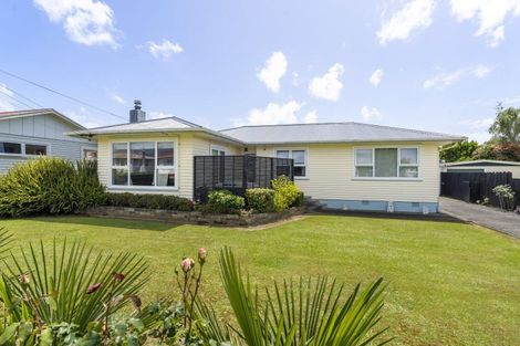 Photo of property in 19 Freyberg Street, Levin, 5510
