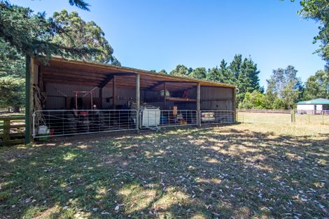 Photo of property in 317 West Bush Road, Upper Plain, Masterton, 5888