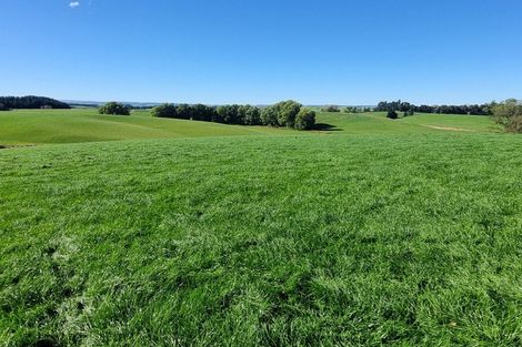 Photo of property in 1446a Clydevale Road, Clydevale, 9274