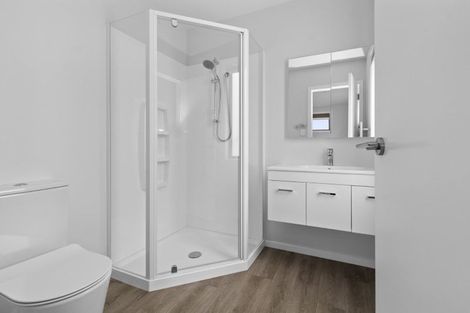 Photo of property in 54b Willoughby Street, Whitiora, Hamilton, 3200