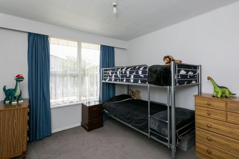 Photo of property in 47 Liverpool Crescent, Tamatea, Napier, 4112