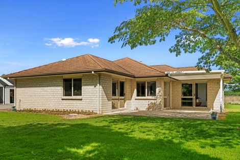 Photo of property in 75 Prole Road, Omokoroa, Tauranga, 3172