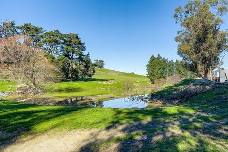 Photo of property in 453 Tetley Brook Road, Seddon, 7285