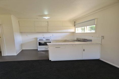 Photo of property in 44 Helvetia Road, Pukekohe, 2120