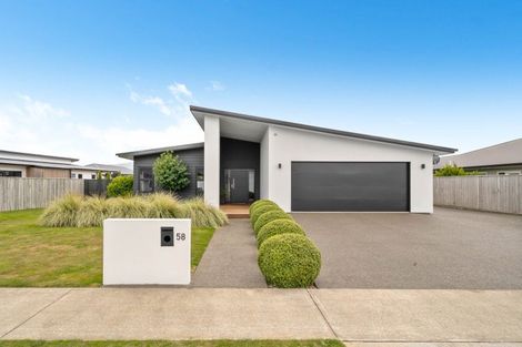 Photo of property in 58 Gimson Street, Solway, Masterton, 5810