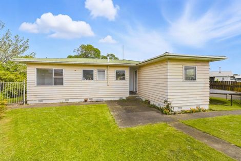 Photo of property in 15 Ross Street, Levin, 5510