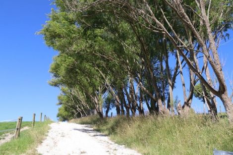 Photo of property in 176 Morrison Road, Arapohue, Dargaville, 0374