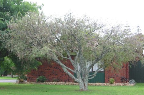 Photo of property in 8 Ti Nana Crescent, Henderson, Auckland, 0610