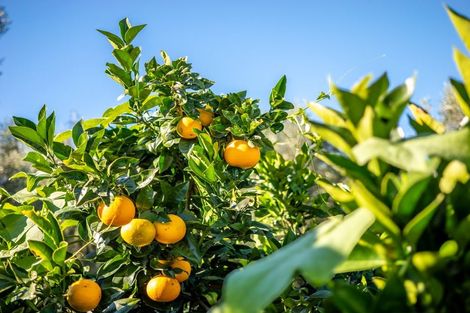 Photo of property in 5 Parkland Drive, Pakaraka, Kaikohe, 0472