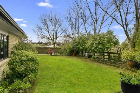 Photo of property in 8 Rowling Place, Leamington, Cambridge, 3432