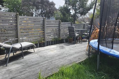 Photo of property in 58a Staveley Avenue, Mount Roskill, Auckland, 1041