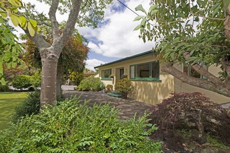 Photo of property in 20 Sherrybrooke Place, Sunnyvale, Auckland, 0612
