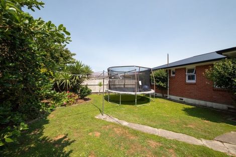 Photo of property in 8 Austin Place, Awapuni, Palmerston North, 4412