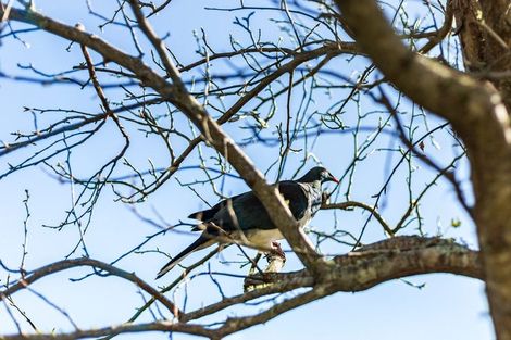 Photo of property in 43 Messines Road, Karori, Wellington, 6012