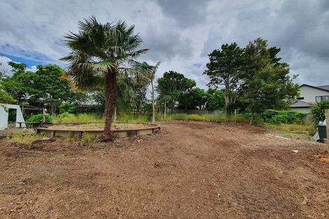 Photo of property in 19 Emsworth Court, Pukekohe, 2120